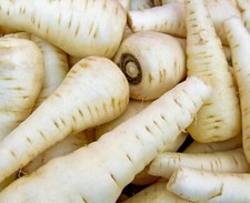 Parsnip Guernsey - 600x seeds - Vegetable