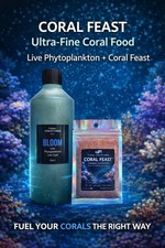 🔥 TIDAL CREATURES ULTIMATE