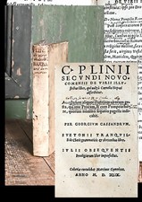 1535 Marriage Marital