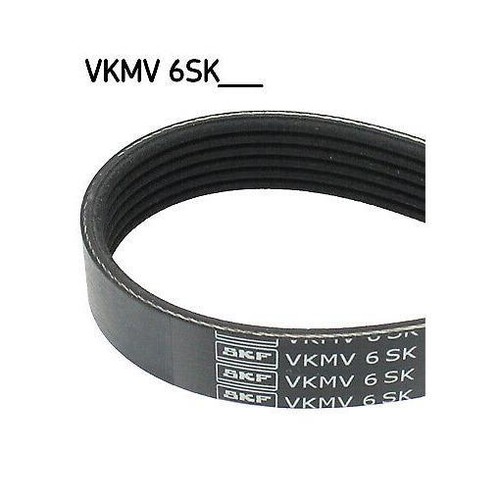 Ribbed belt skf vkmv - belt,