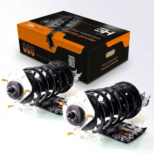 Gas complete struts - gas,