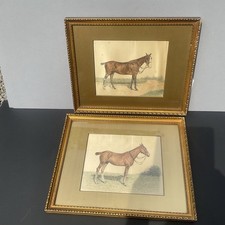 19 Th Century A Pair Horse