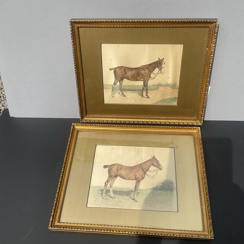 Century pair horse - 19,
