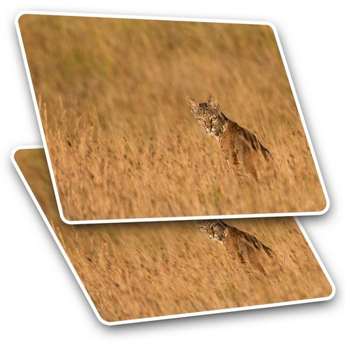 Rectangle stickers cm - rectangle,