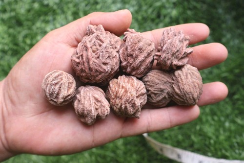 8pcs desert rose selenite - desert, –