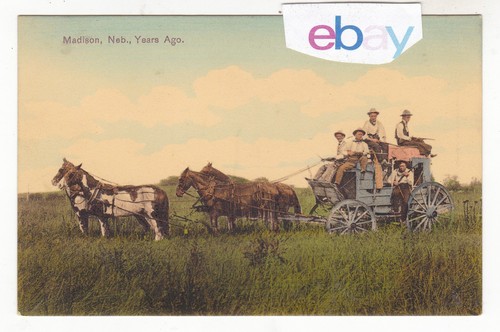 C1910 madison nebraska horse - c1910,