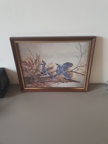Set vintage framed - set, of