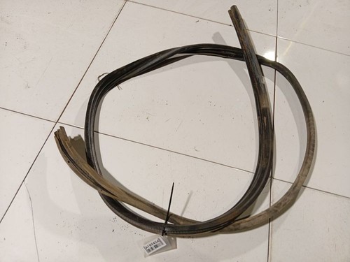 Door rubber rear right - ,