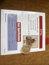 Westminster Boudicca 24 carat gold-plated Cuni Piedfort coin