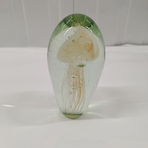 Large studio art - 🪼, glass