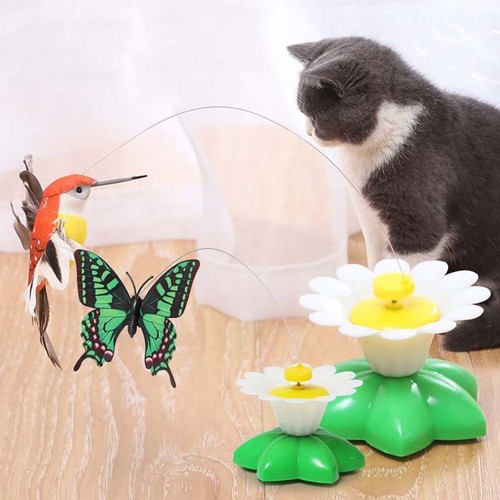 Fun pet electric rotating - fun,