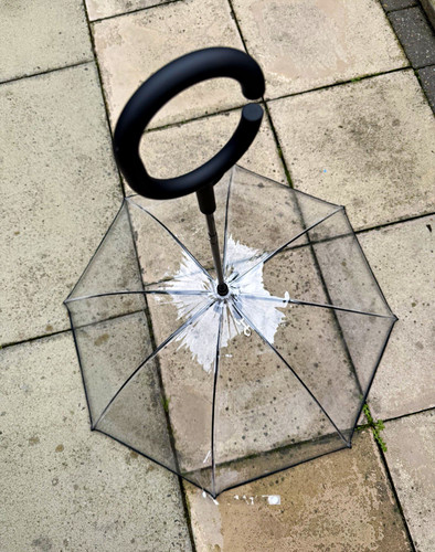 Small clear umbrella for small