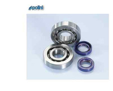 POLINI CRANKSHAFT OIL BEARINGS