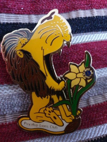 Lions club international pin - lions,