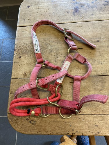 Monty roberts dually - monty,
