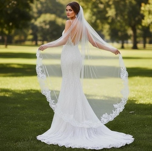 Cathedral lace bride wedding - lace,