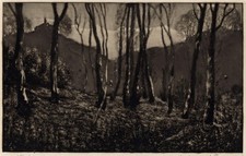 David Waterson Mezzotint 1900