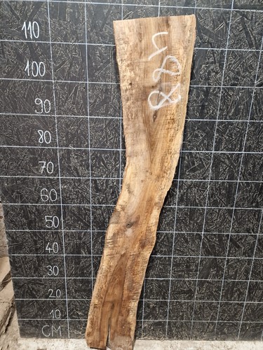 English walnut slab - slab, edge