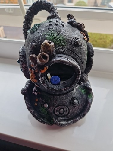 Aqua della divers helmet - della,