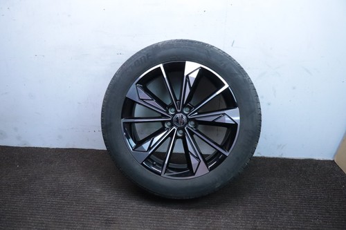 2024 trophy alloy - hs,