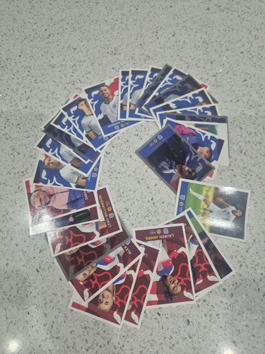 Football panini stickers - football,