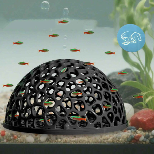 Shrimp breeding cave fish tank - breeding,