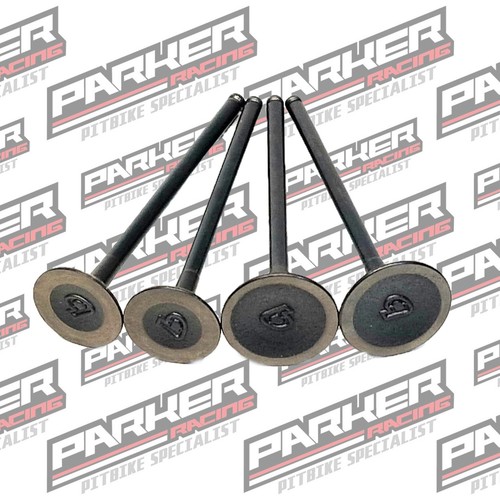Pit bike daytona valve kit - tb,