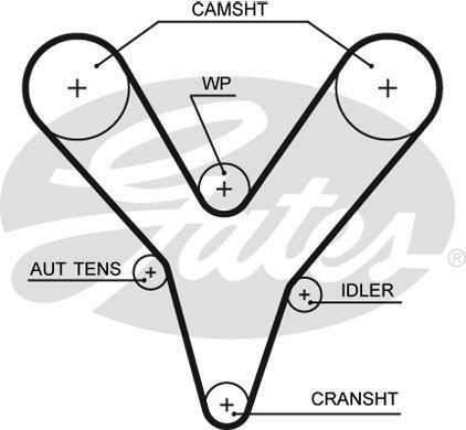 Genuine gates timing - timing, belt
