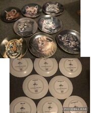 cubs of the big cats plate