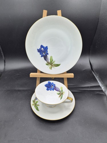 Vintage hutschenreuther selb - vintage,