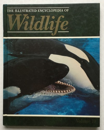 The illustrated encyclopedia - illustrated,