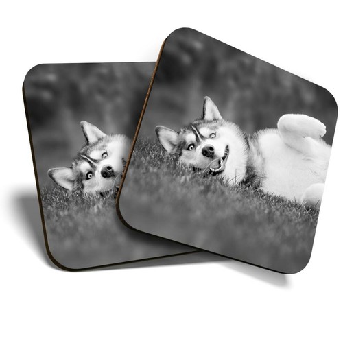 Coasters husky dog - (bw),