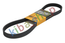 MULTI-V-BELT 6PK962 FITS DS DS