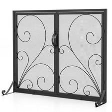 Double door fireplace - fireplace, screen