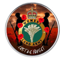 Womens Land Army remembrance lest we forget lapel pin badge 25mm