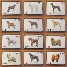 Fridge magnet playing - magnet, (fb6)