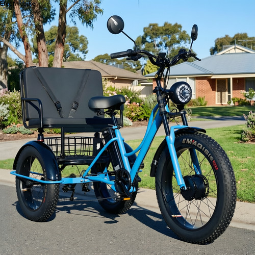 Seater electric three wheel - 2,