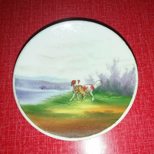 Victorian welsh springer - welsh,