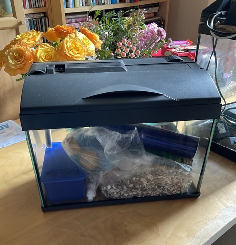 Small fish tank aquarium - small,