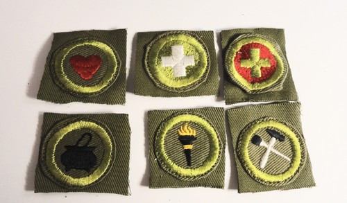 Bsa merit badges - badges,