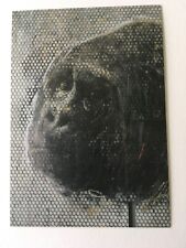 Charming Baker - Hell Is Believing Everything Is Meaningless Art Postcard