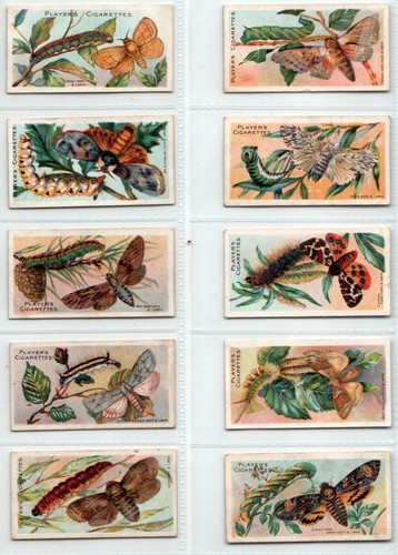 Players butterflies moths - &,