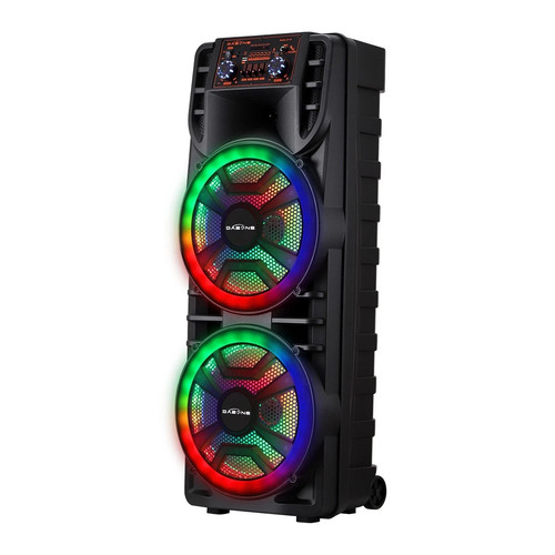 Dual inch bluetooth party - dual,