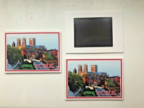 Fridge magnet souvenir york - magnet,