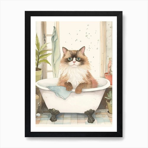 Himalayan cat bathtub - cat, in