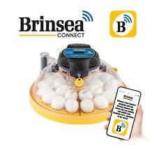 ALL Brinsea Incubators (MINI