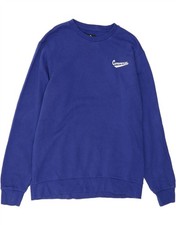 CONVERSE Mens Sweatshirt Jumper Large Blue Cotton AR10