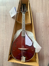 NEW Mandolin By Tanglewood