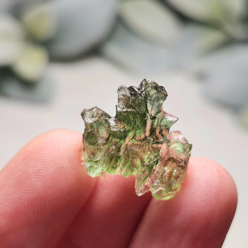 Besednice hedgehog moldavite - besednice, "hedgehog"