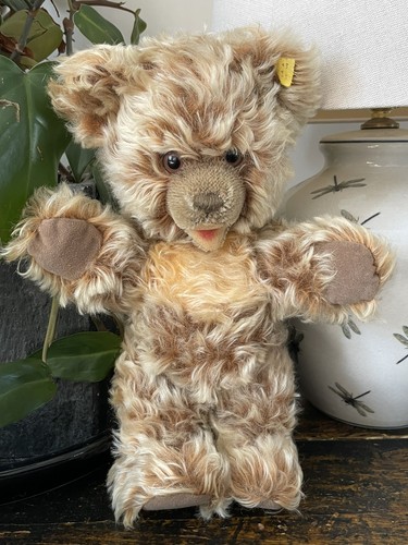 Antique vintage steiff - steiff, zotty